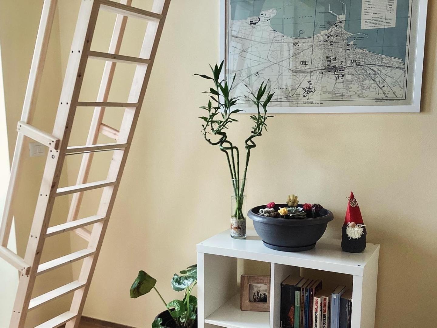 Lotus Apartment บารี ภายนอก รูปภาพ